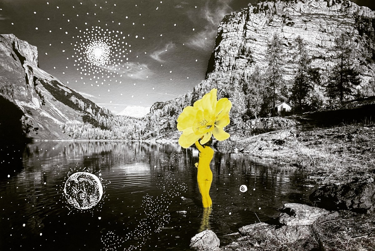 The Flowerfly by Malika Sqalli 