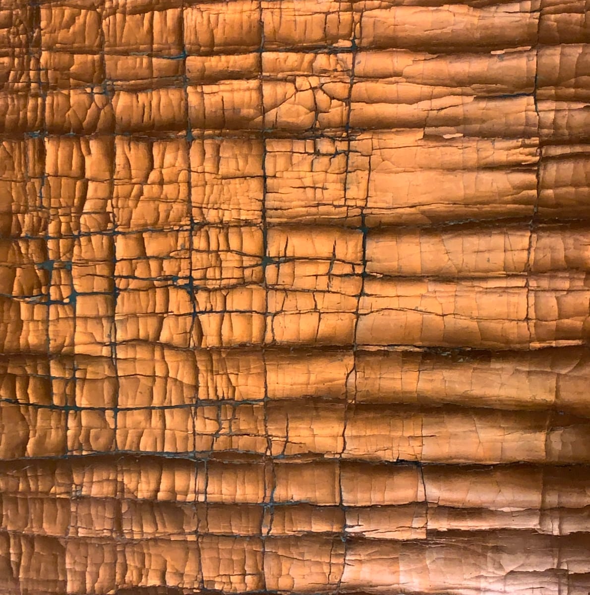 Mt. Hopkins by Roberta Ahrens 