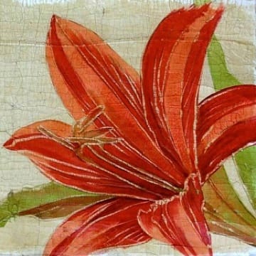 Rusett Lilly 2 by Roberta Ahrens 
