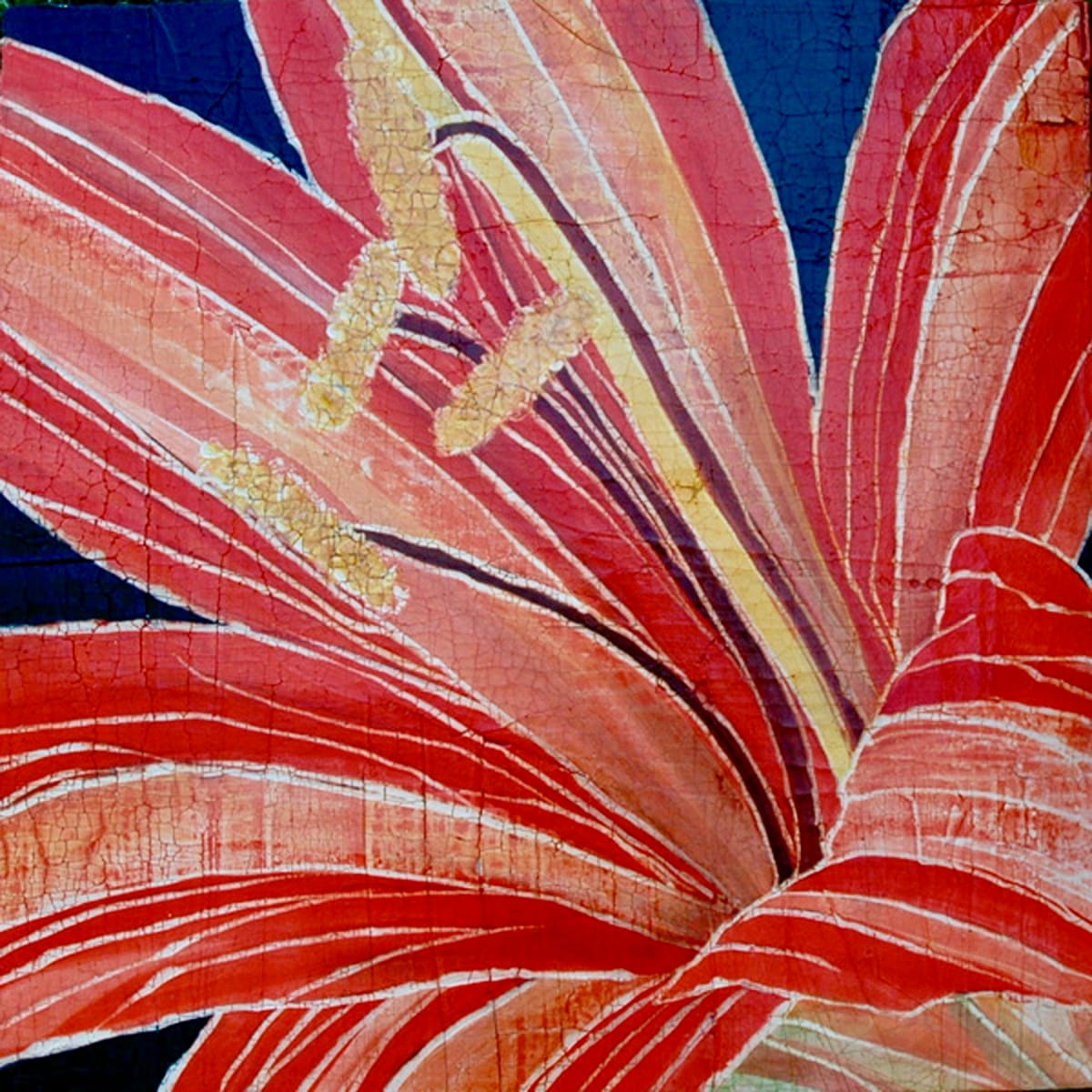 Red Amaryllis by Roberta Ahrens 