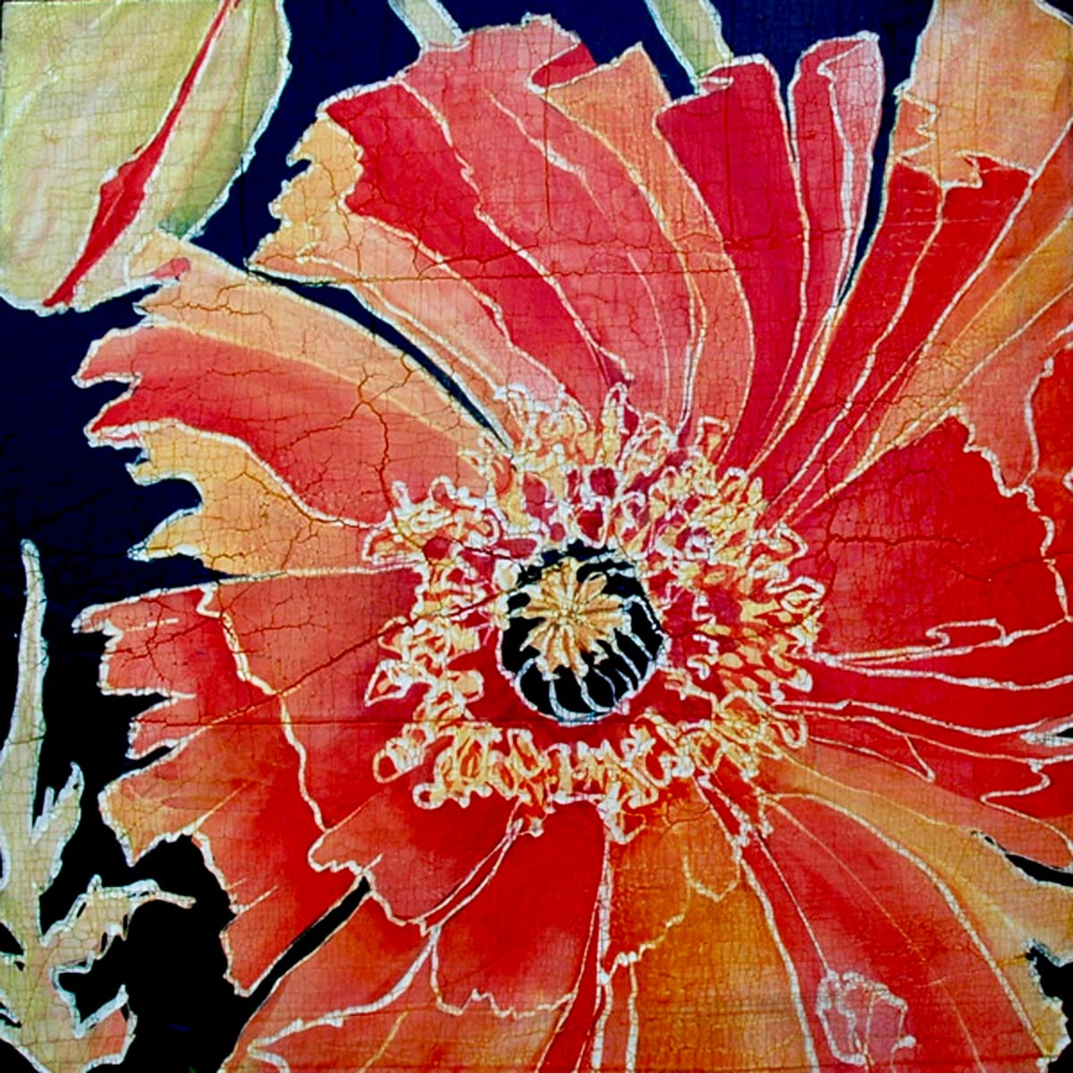 Red Poppy w/ bud by Roberta Ahrens 