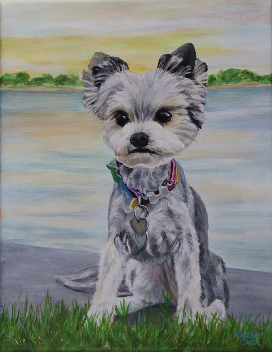 Gidget by Lorelle Carr  Image: Gidget - Pet Portrait - Commission