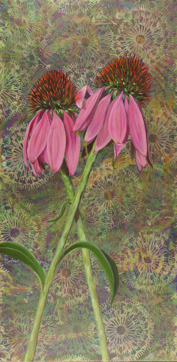 Cone Flowers by Lorelle Carr, Image 1.