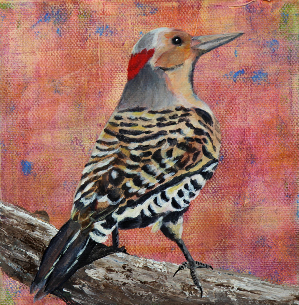 Northern Flicker #1 by Lorelle Carr 