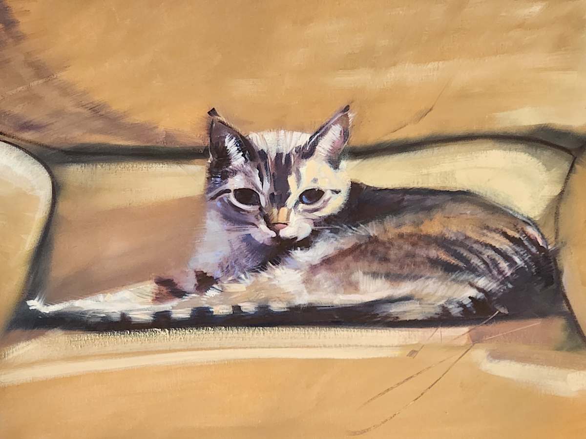 CC20x16 by Matthew Jacobson 