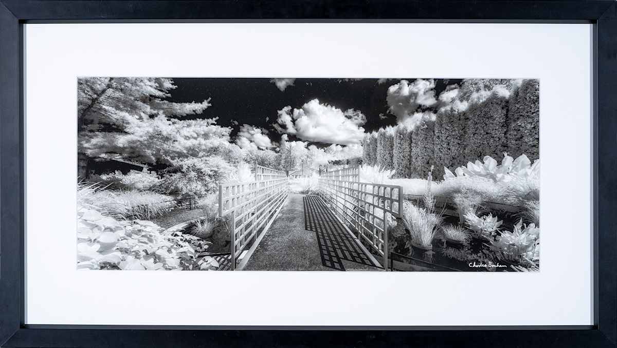 Childrens Garden Panoramic by Charles Bonham 