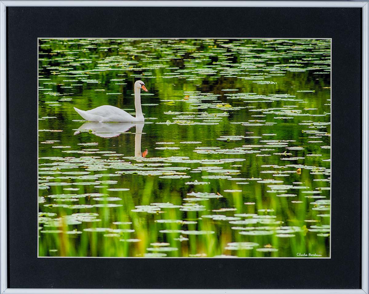 Swan-CNC by Charles Bonham 