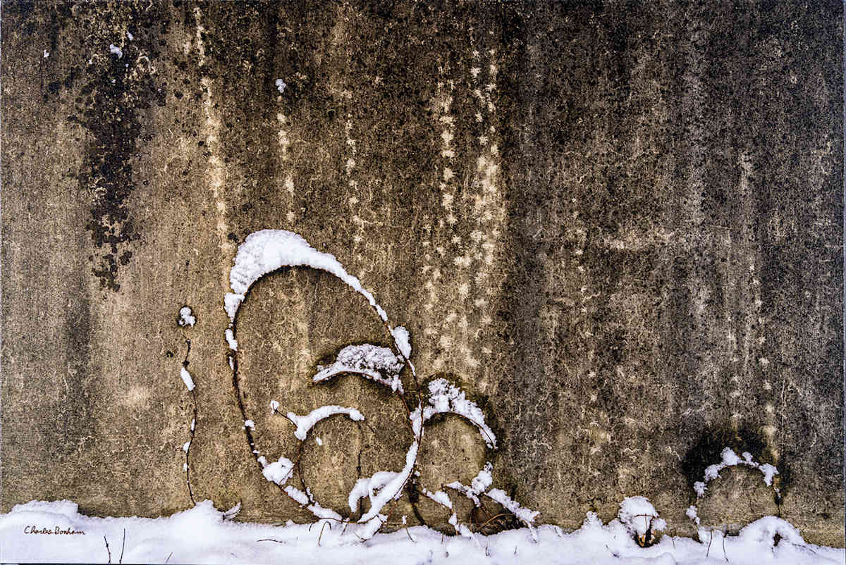 Wall Textures by Charles Bonham 