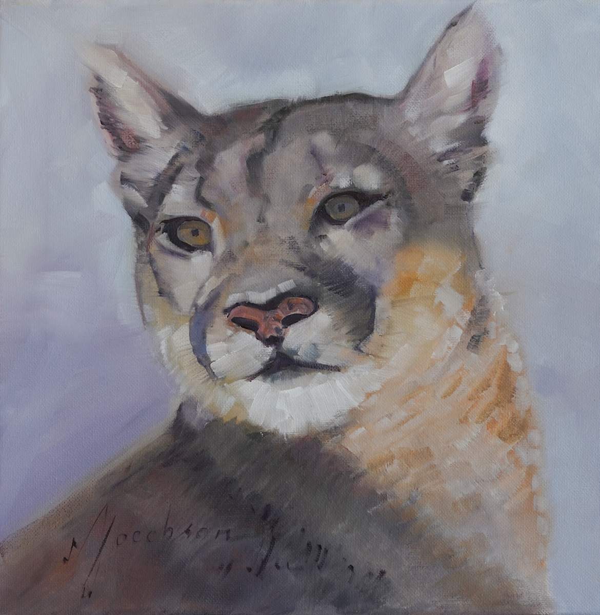 Cougar by Matthew Jacobson 