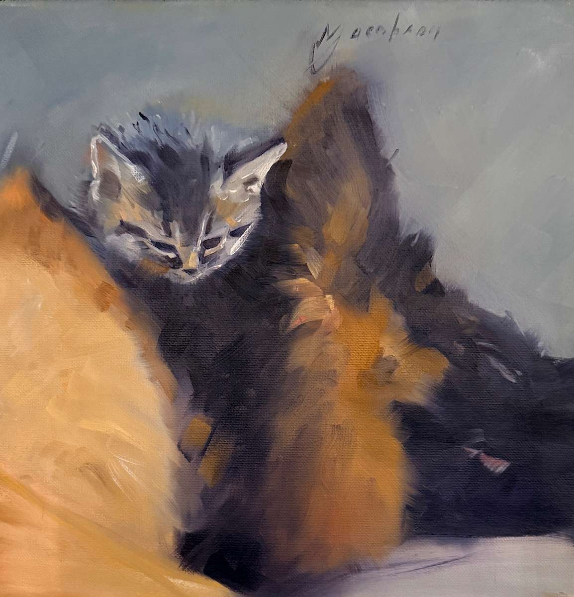 Kitten Sleeping on Dog by Matthew Jacobson 