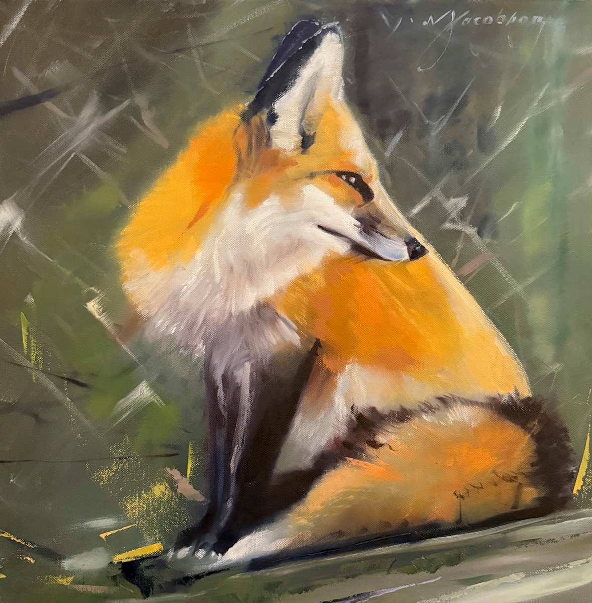 Fox by Matthew Jacobson 