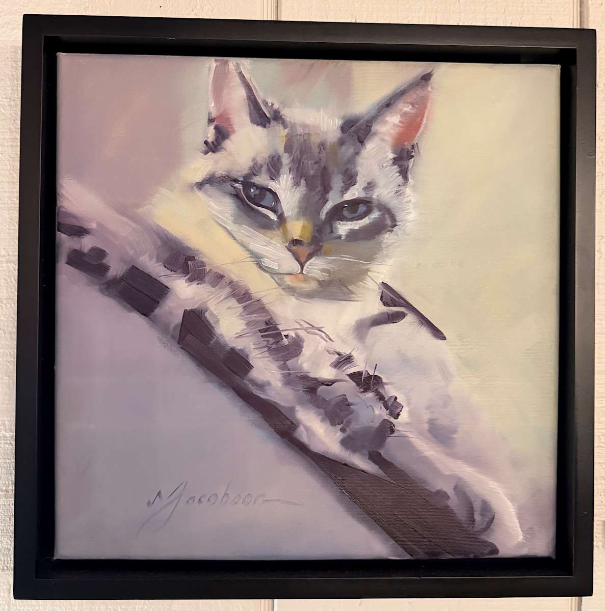 Gray Cat 12x12 by Matthew Jacobson 