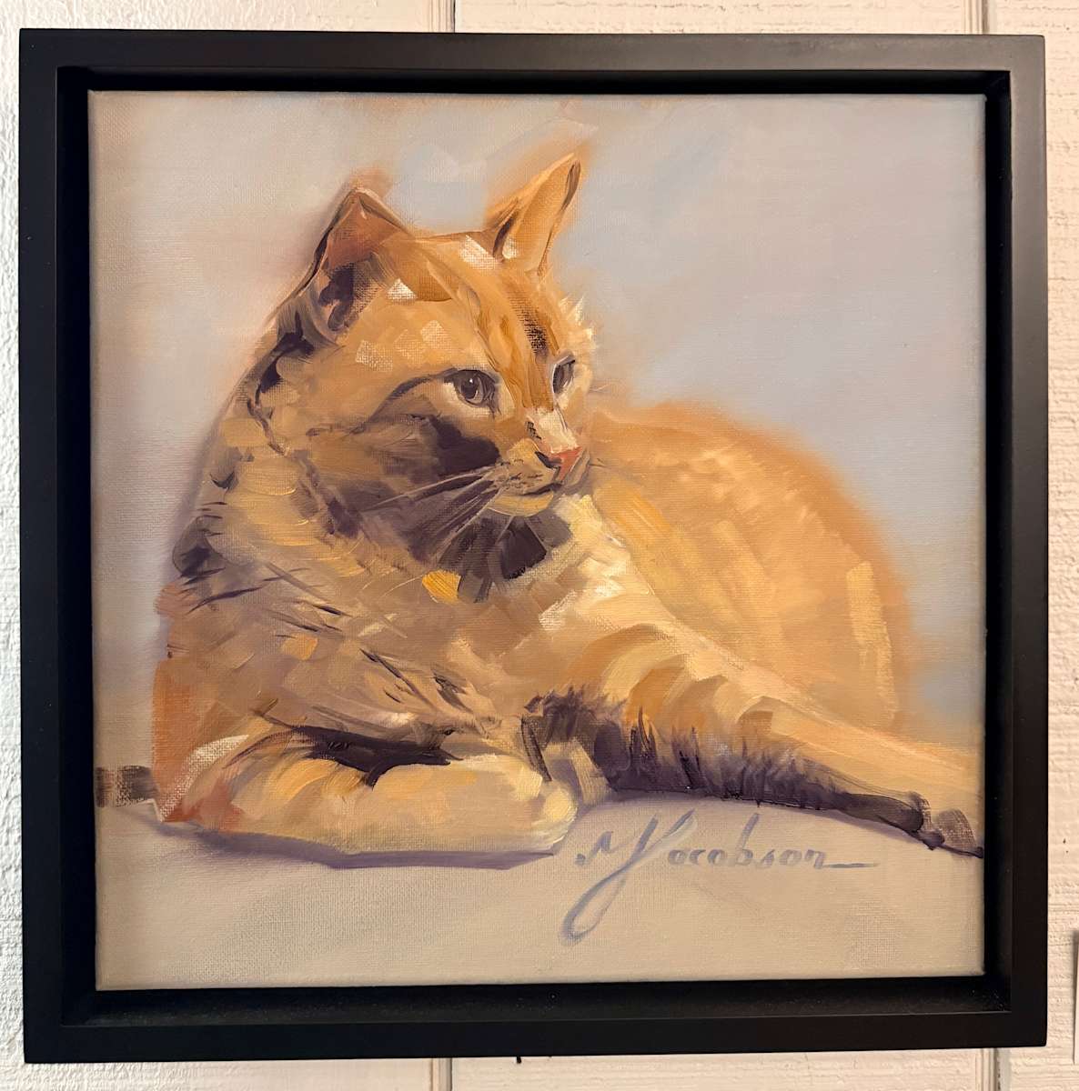 Orange Cat 12x12 by Matthew Jacobson 