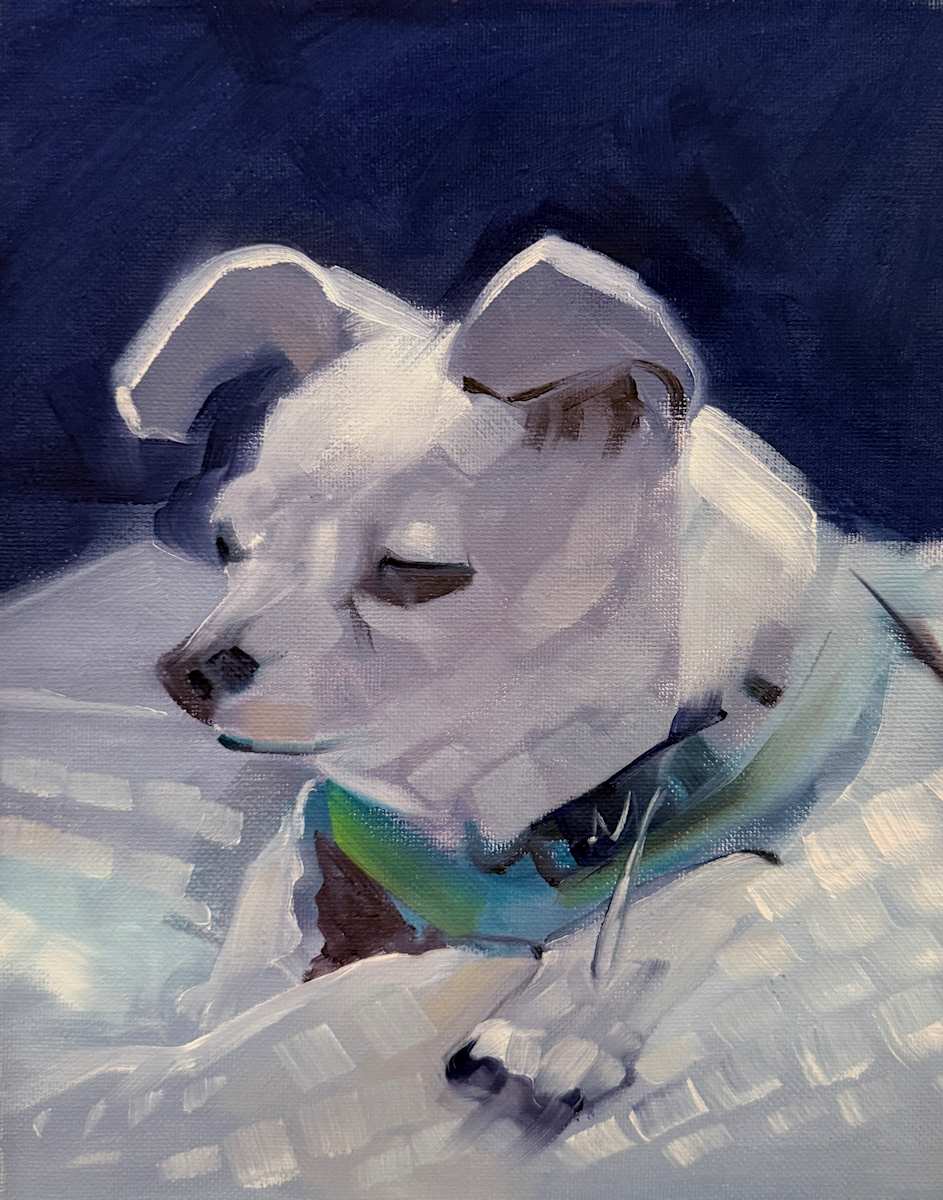 Small Dog by Matthew Jacobson 