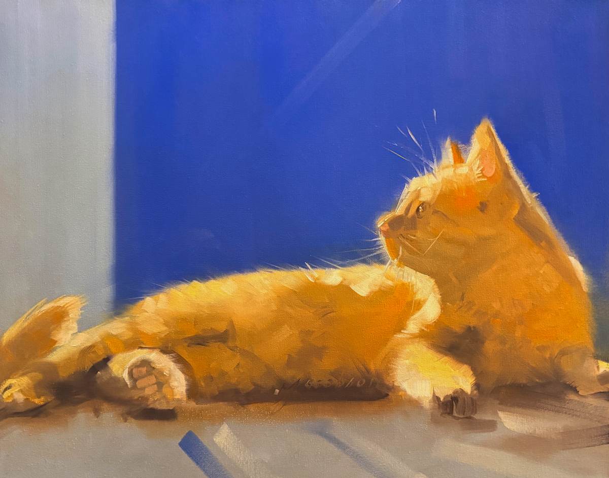Orange Cat on Blue by Matthew Jacobson 