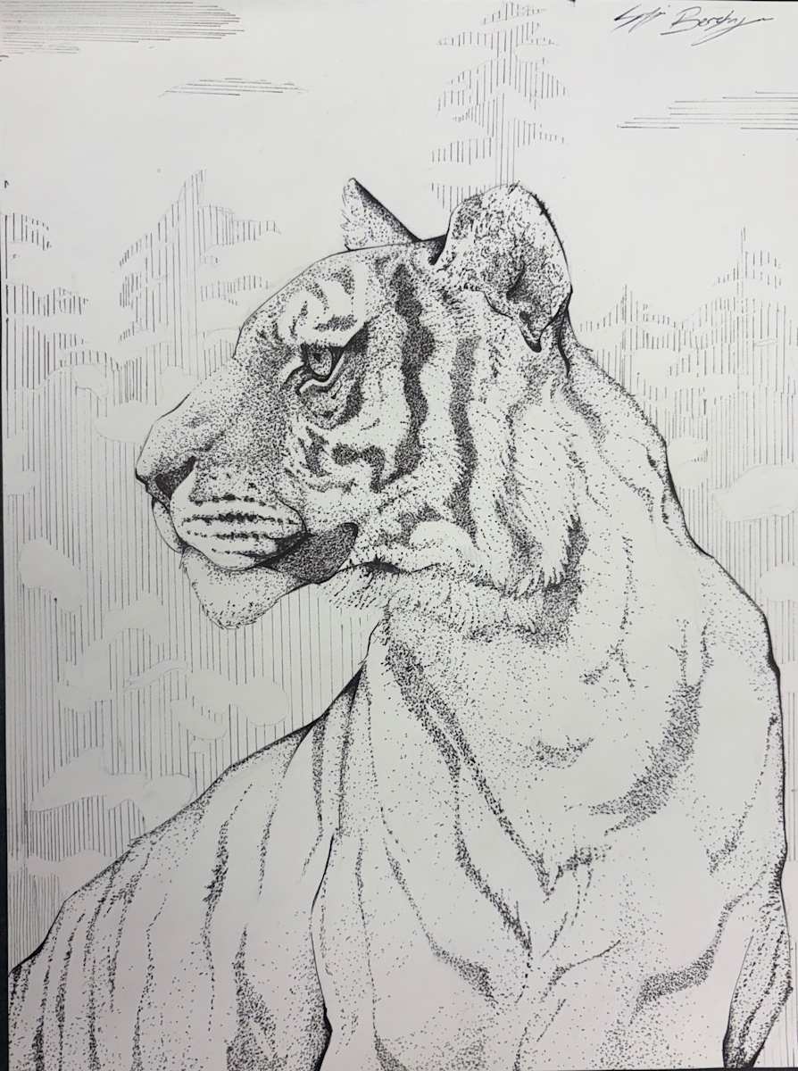 Tiger by Sof Berlanga 