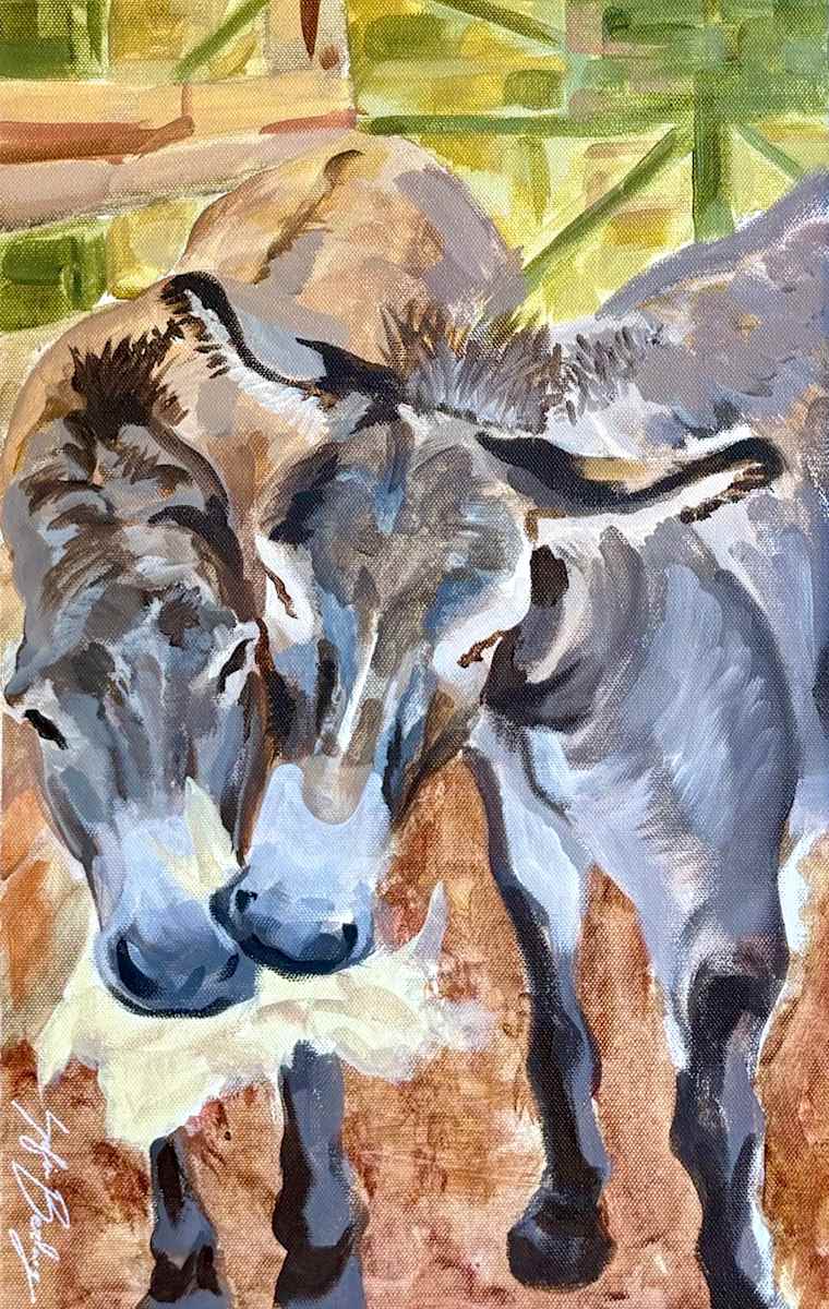 Burros by Sof Berlanga 