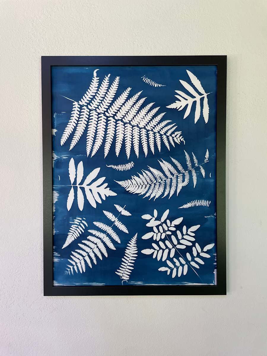 Ferns & Fronds by Kivrin LeViere, Image 1.