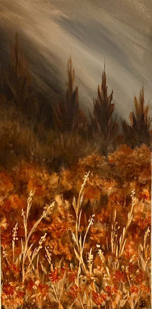 Behind the House by Stephanie Richardson 