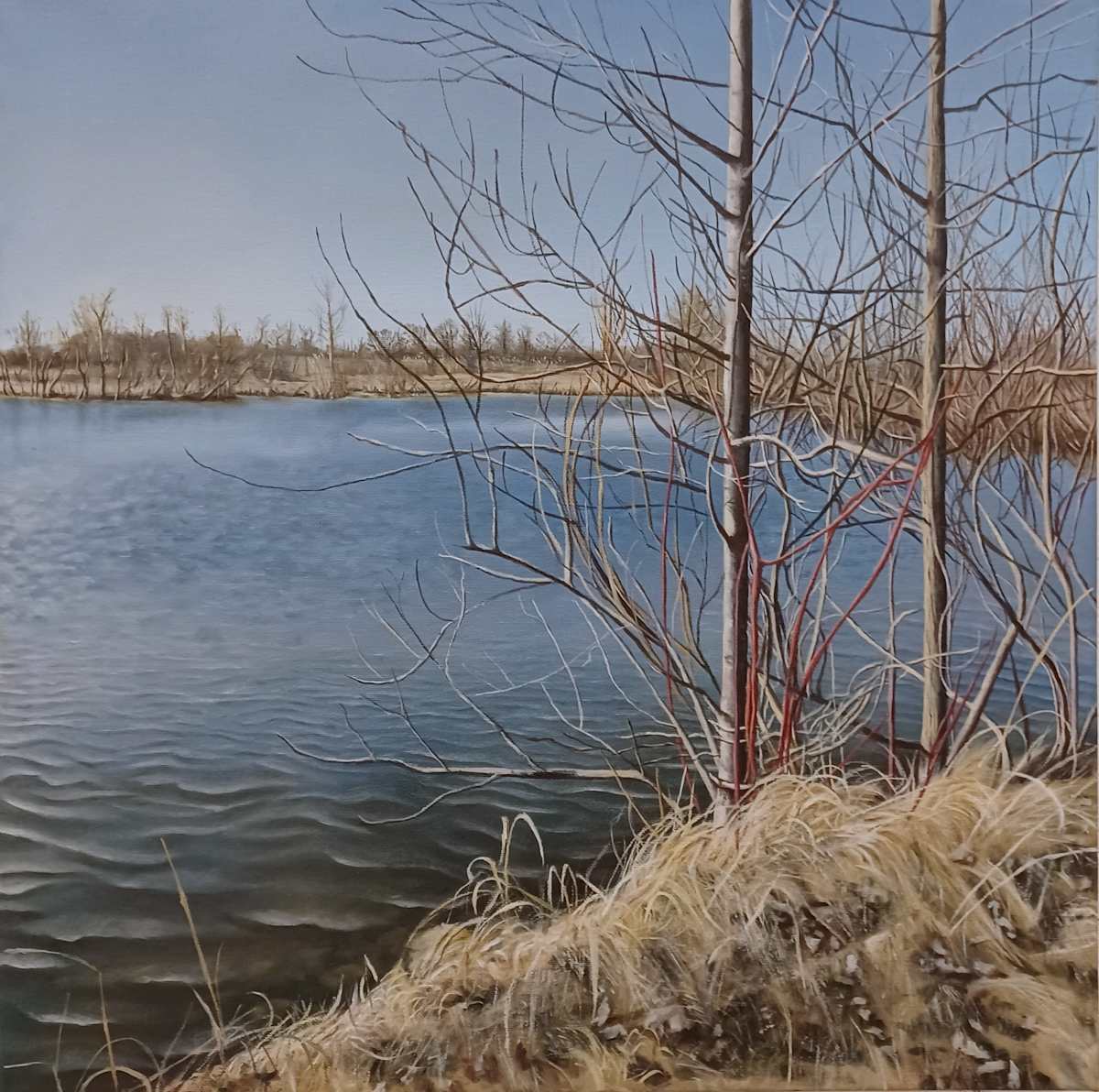 SVSU Wetlands by David Andres 