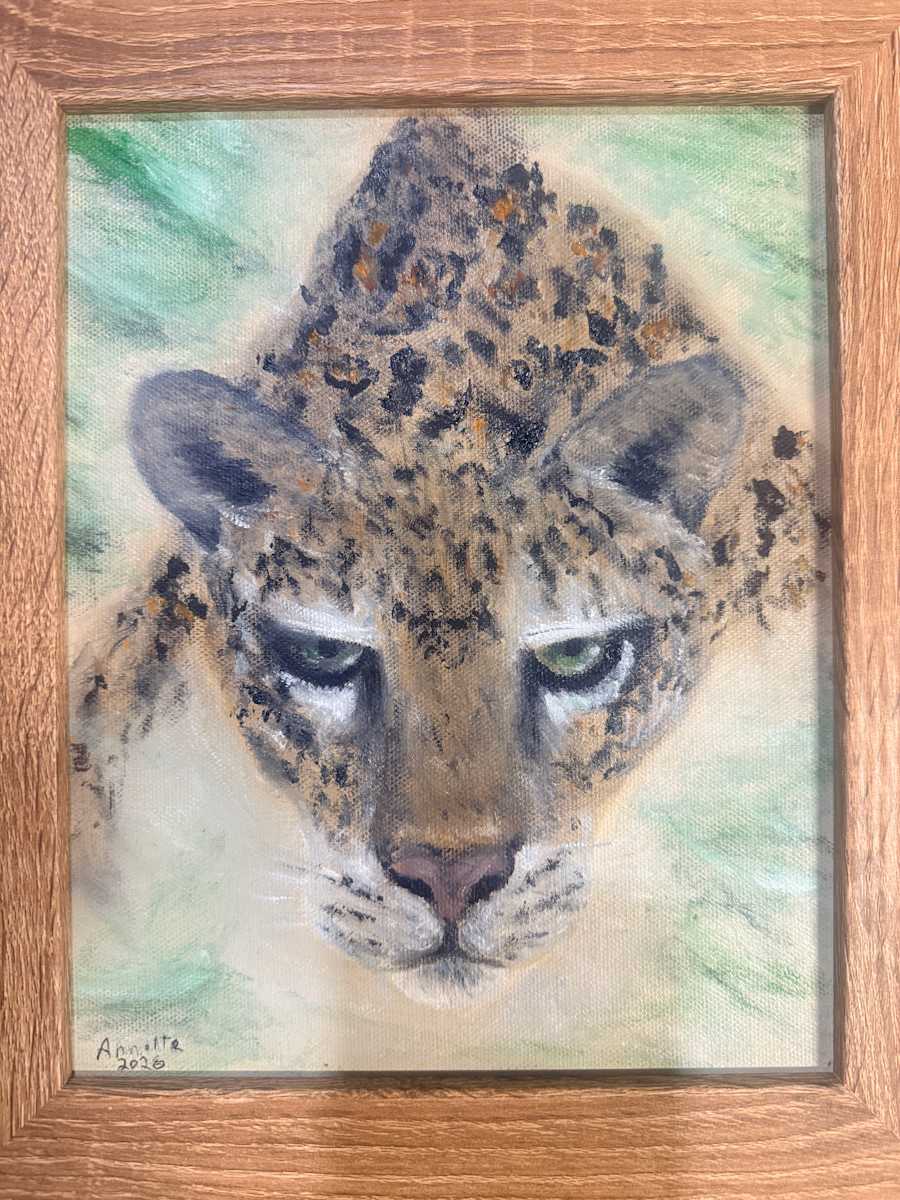 Leopard Focus by Annette Israel, Image 1.
