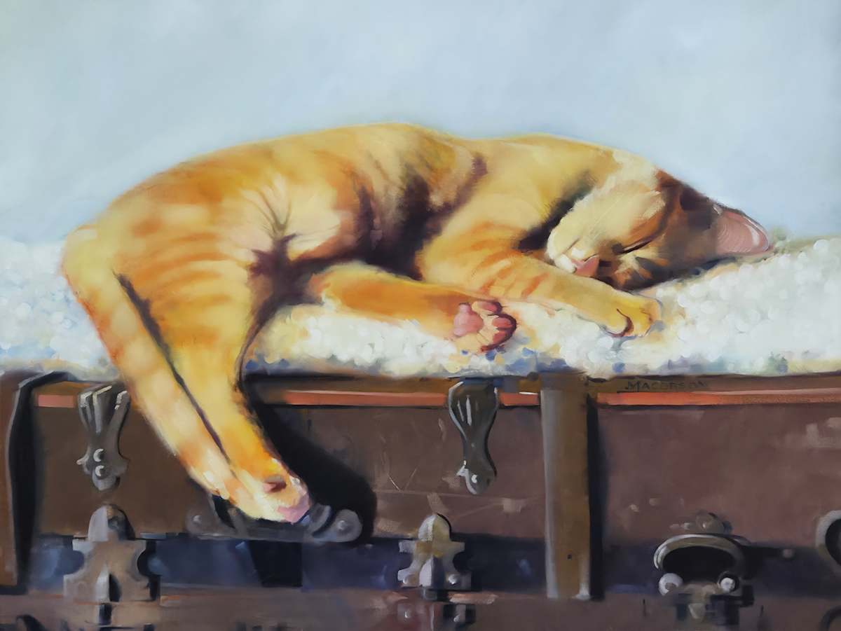 Sleeping Cat by Matthew Jacobson 