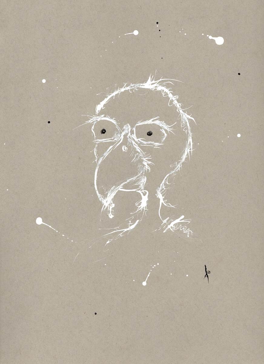 Birdhead, Image 1.