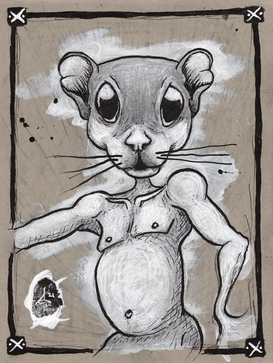 Pali’ (Flying Squirrel) 