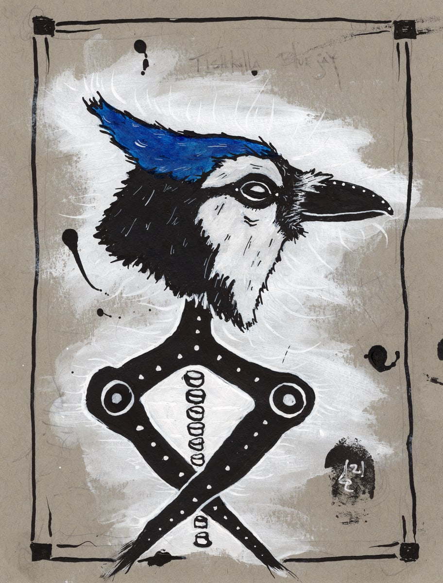 Tishkilla (Bluejay) 