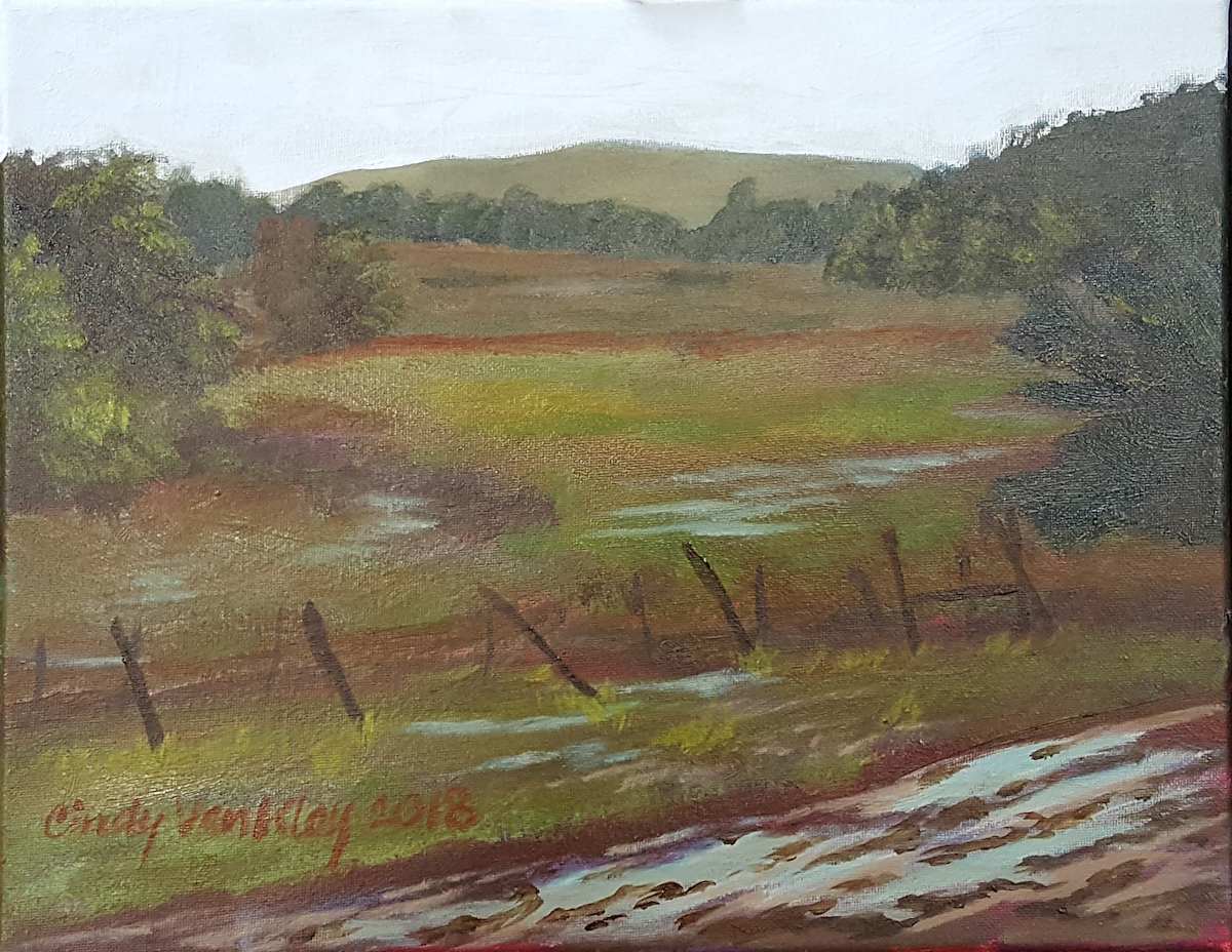 Ocheyedan Mound 1 by Cindy Van Kley  Image: The 2nd highest point in the state of Iowa, the Ocheyedan Mound is outside of Ocheyedan, Iowa.