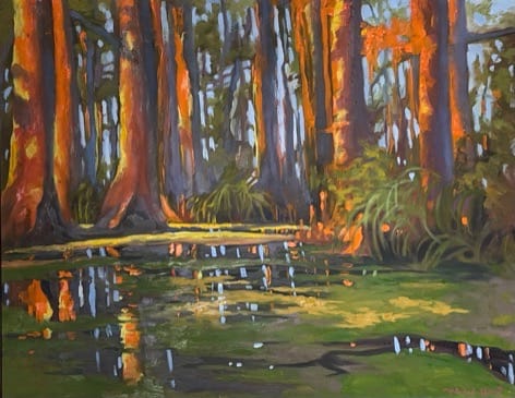 Gator Country, Image 1.