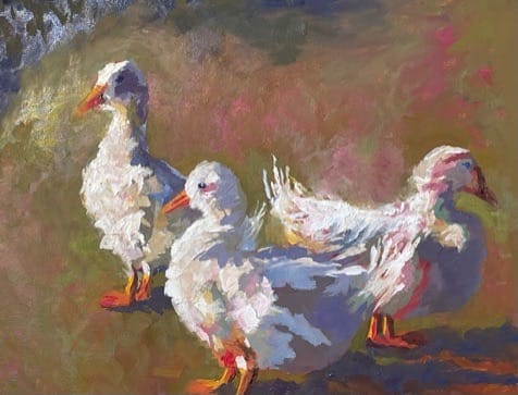 Canard Trio, Image 1.