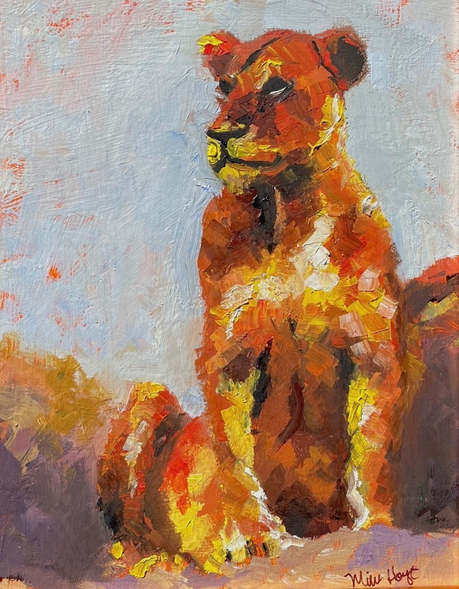 Young Lioness, Image 1.