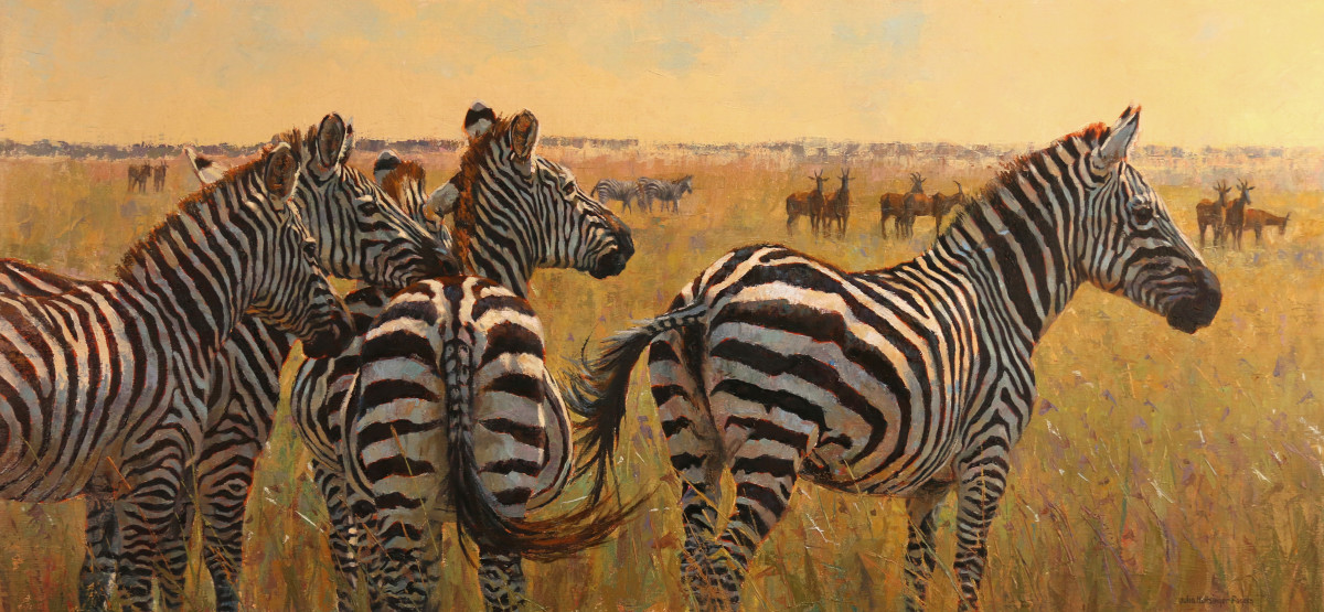 Africa's Rising Sun by Julia Rogers 