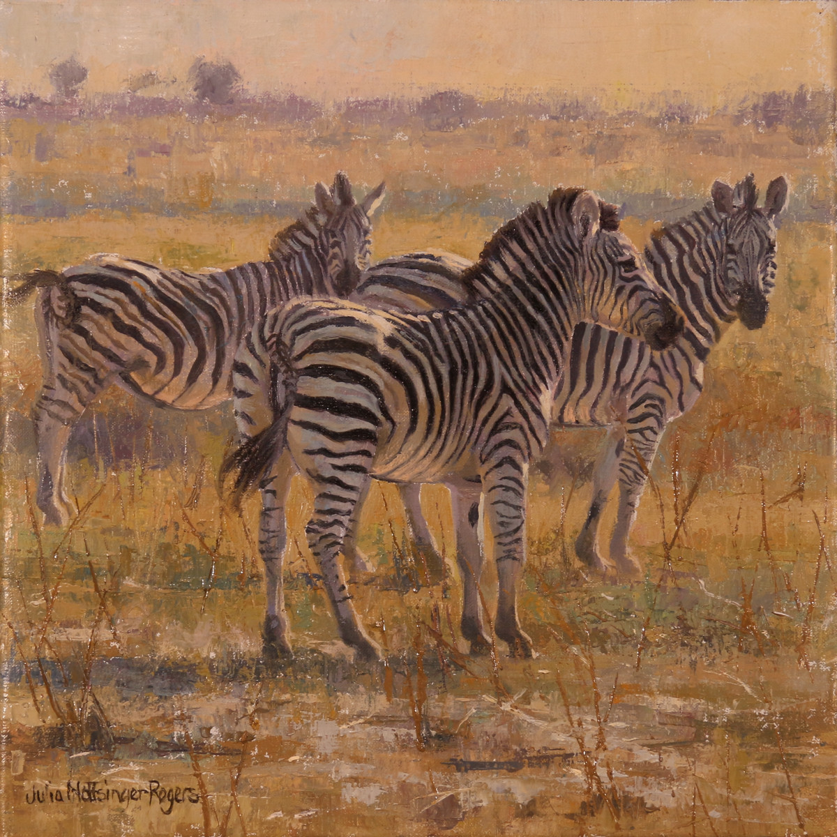 Dry, Dusty and Dazzling by Julia Rogers 