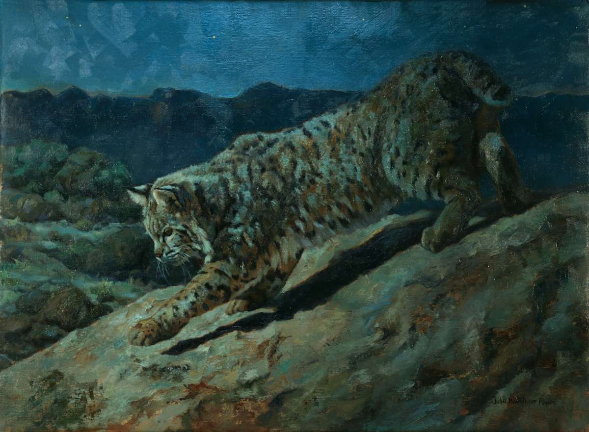 Moon Bandit by Julia Rogers, Image 1.