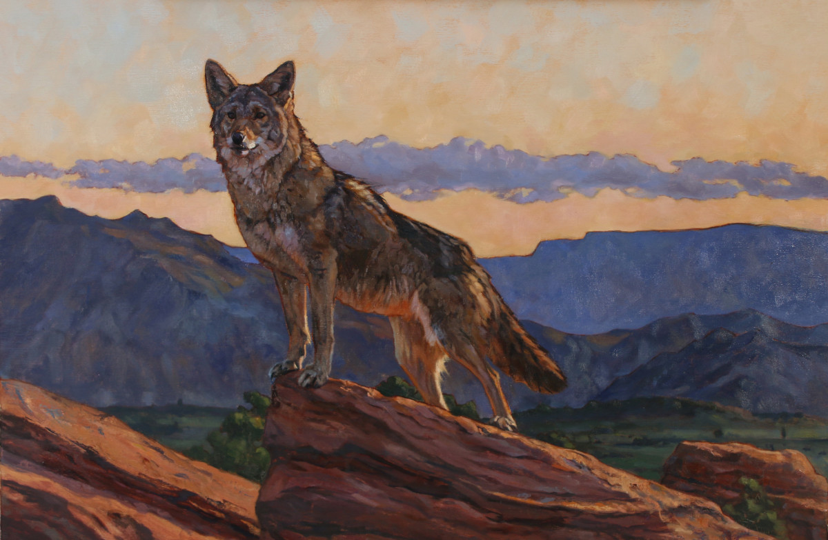 Peak at Daybreak by Julia Rogers 