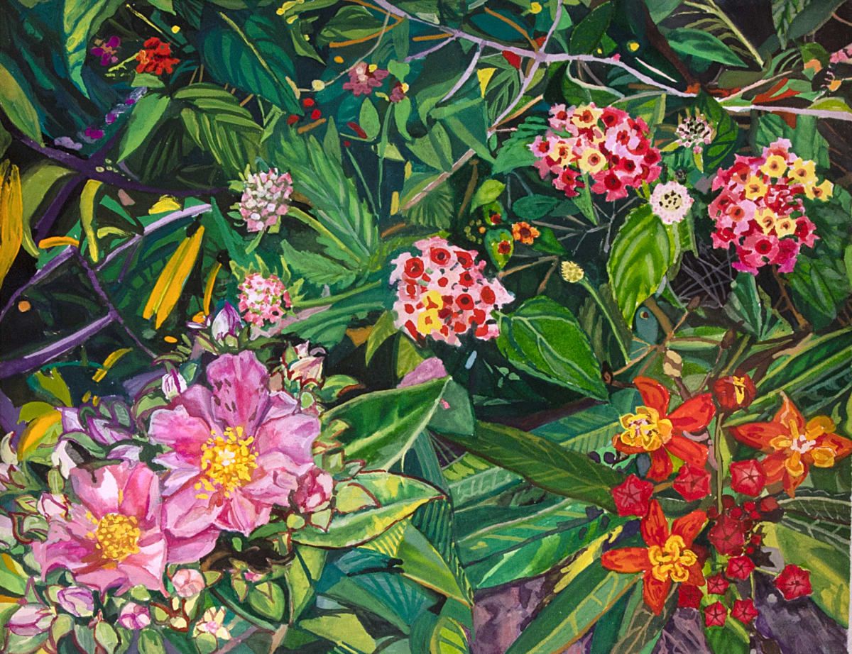 Jardín Botánico del Bosque de Chapultepec by Anastasia Zielinski 