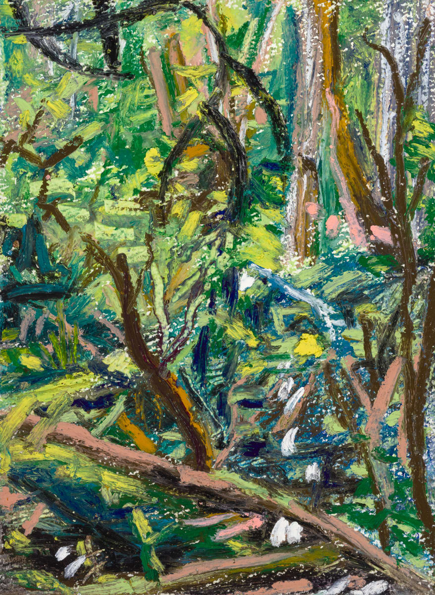 Jim Whittaker Wilderness by Anastasia Zielinski  Image: Jim Whittaker Wilderness