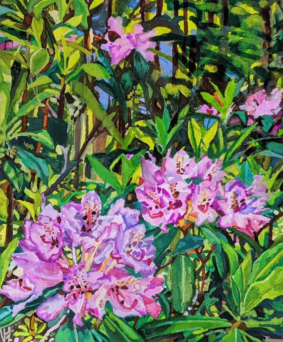 A Burst of Pink by Anastasia Zielinski 