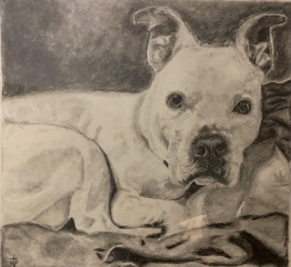A Best Friend 