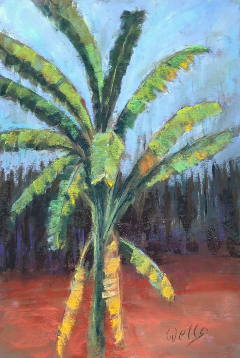 The Parish Banana Tree by Linda C. Wells, Image 12.