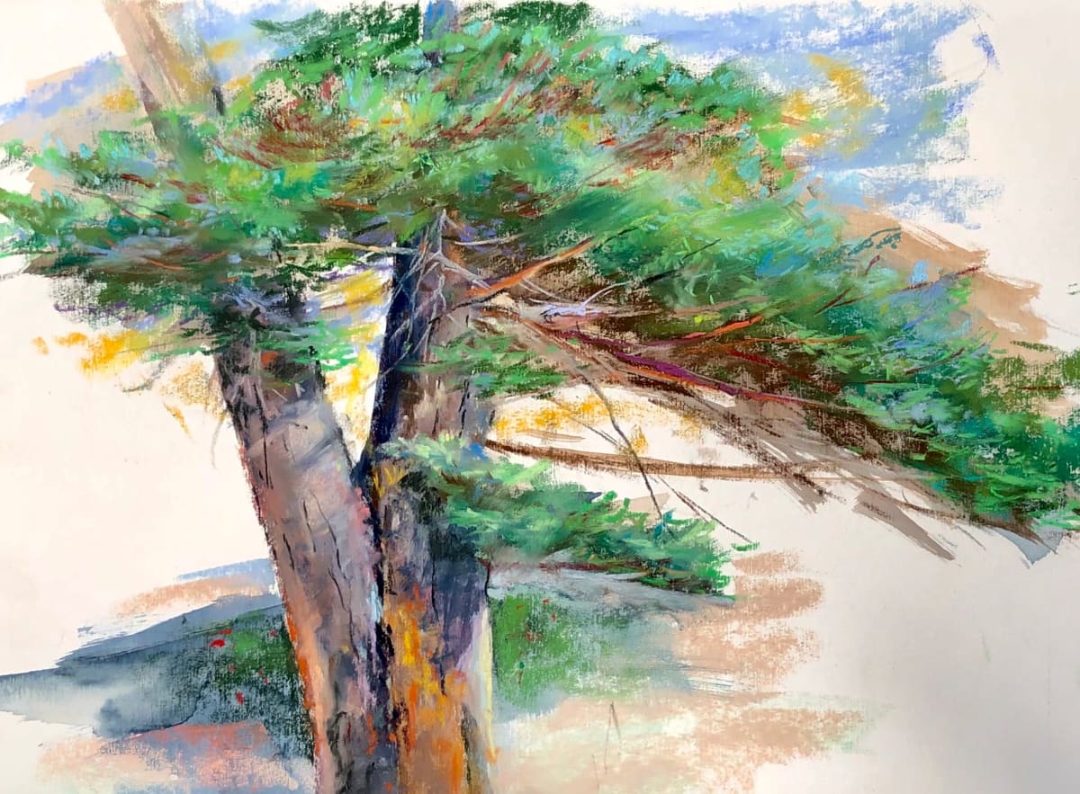 Tree Study, Image 1.