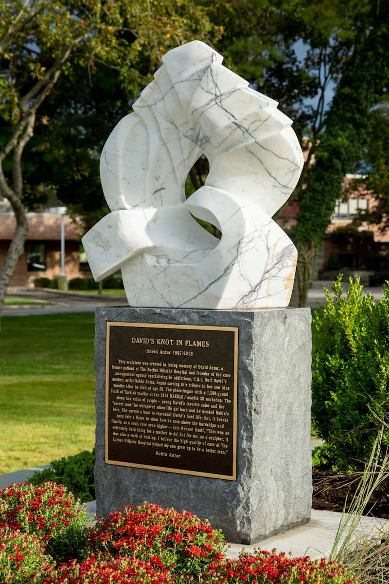 DAVID'S KNOT IN FLAMES by Robin Antar, Image 2.