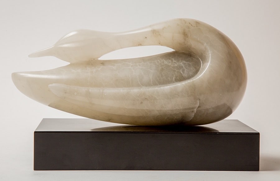 swan by Robin Antar 