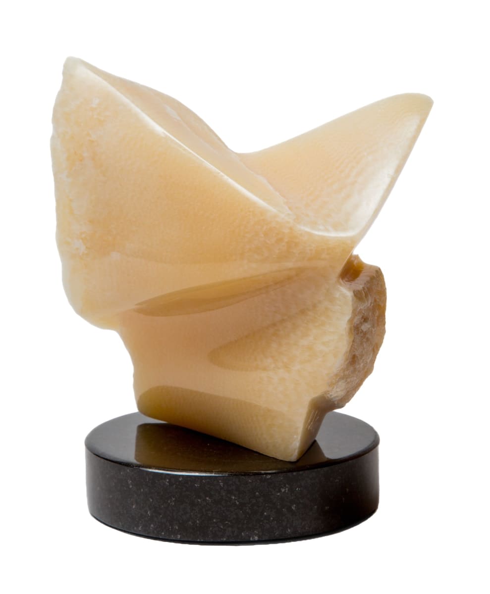 Flight by Robin Antar 