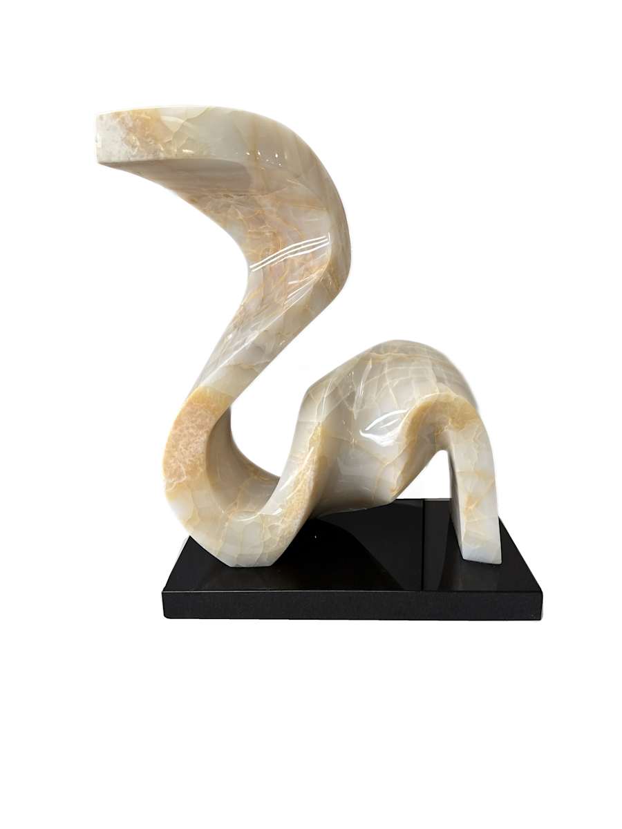 Bent out of shape by Robin Antar 