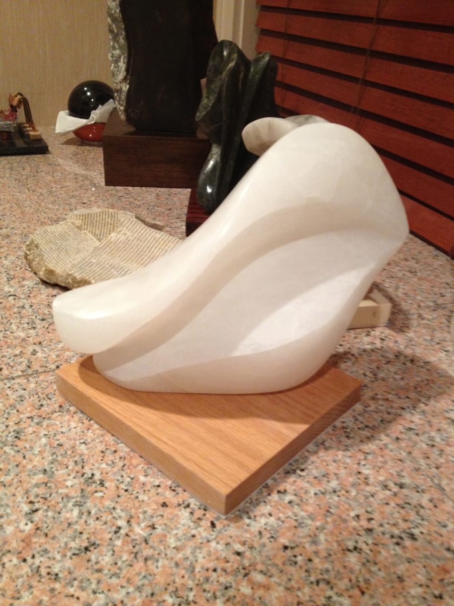 swan by Robin Antar, Image 1.