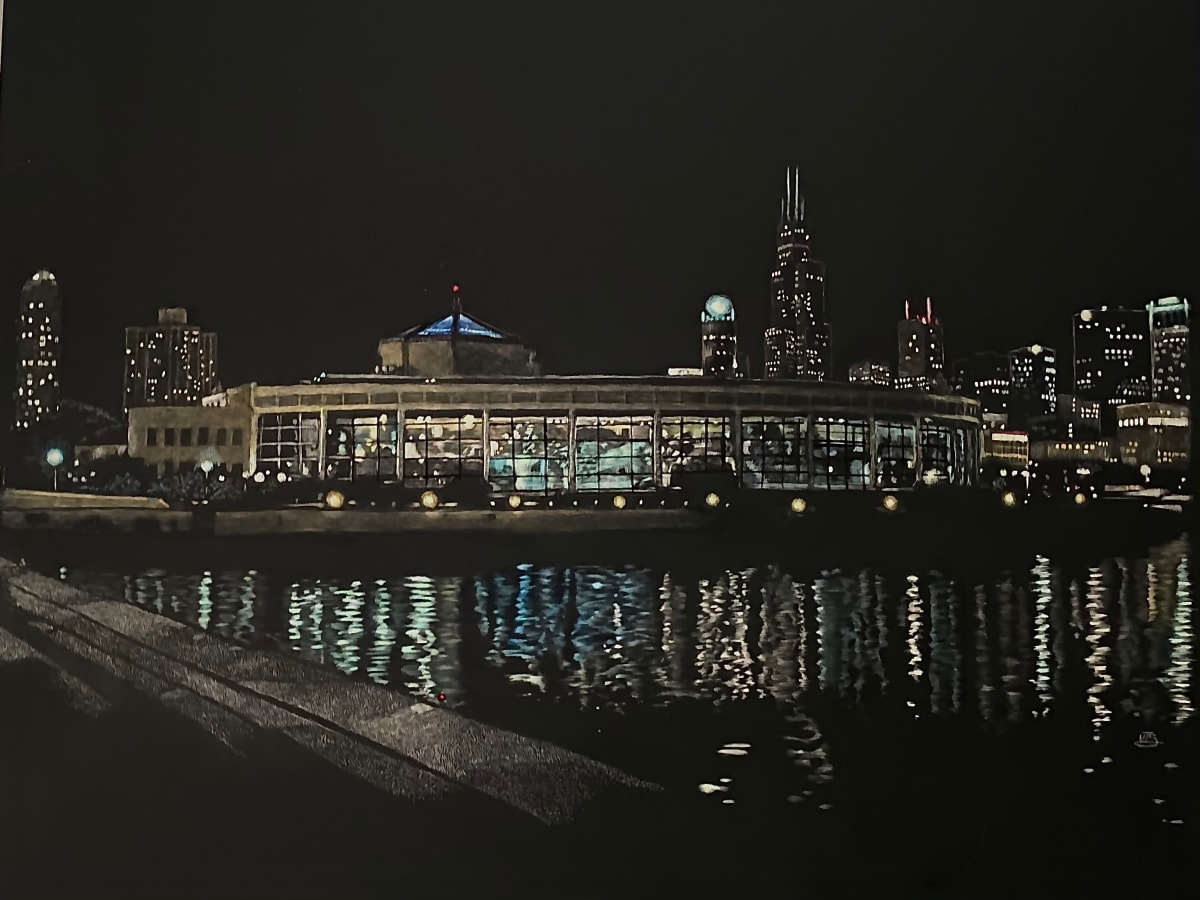 Shedd Aquarium by Victor Simmons 