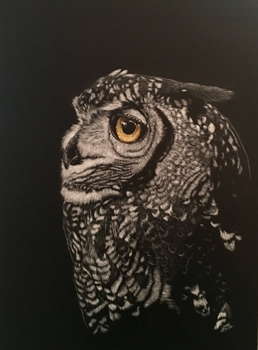 Owl 1 